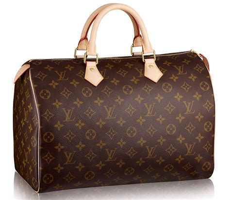 speedy 35 louis vuitton.